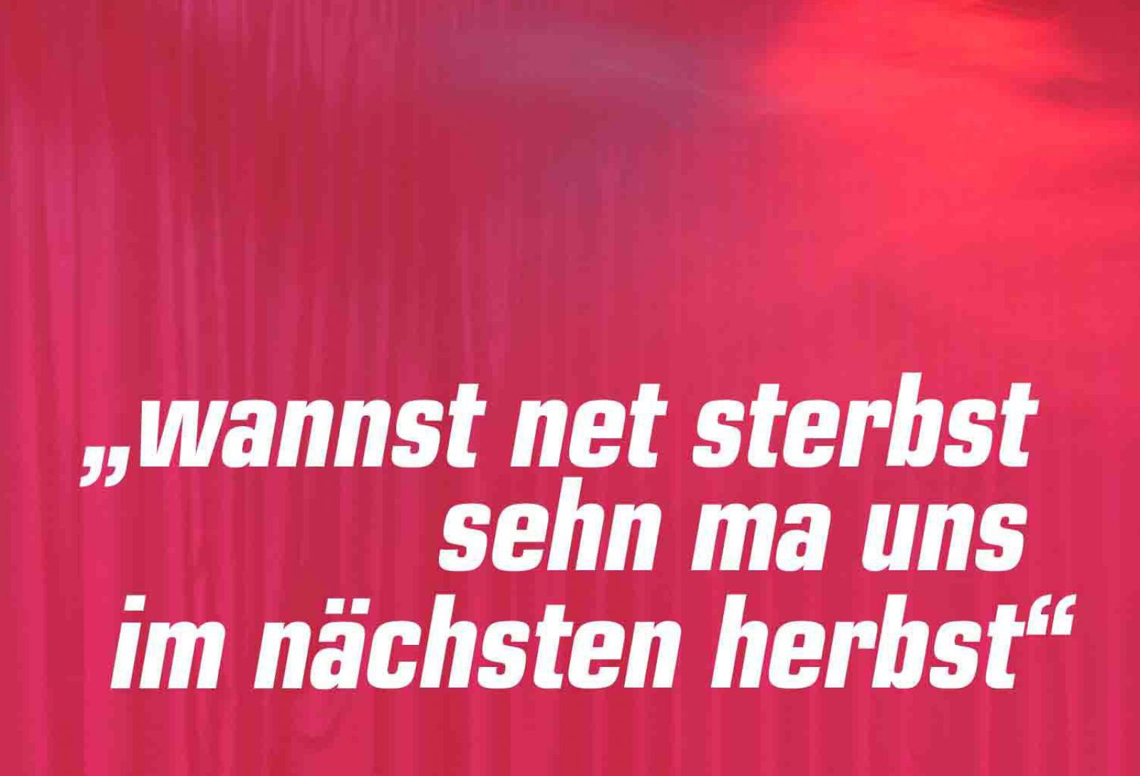 typo_sujet_wannst-ned-sterbst