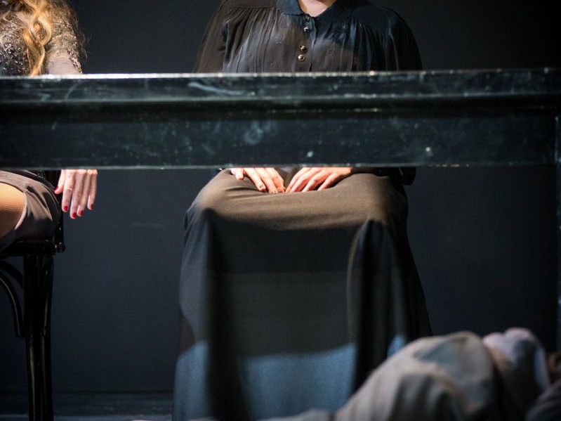 Claudia Kottal, Das Spiel: Die Möwe, TAG Theater Claudia Kottal, Das Spiel: Die Möwe, TAG Theater